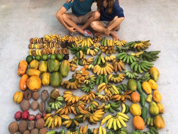 Por que se alimentar de forma diferente pode melhorar o mundo (e a sua vida)?