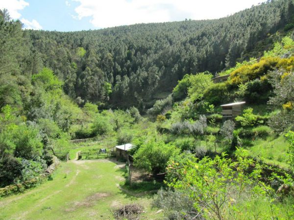 O retiro que nos apresentou para nosso Eu verdadeiro