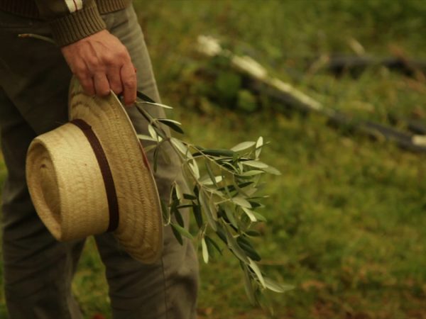 Websérie de pessoas que largaram o emprego pra fazerem o que gostam