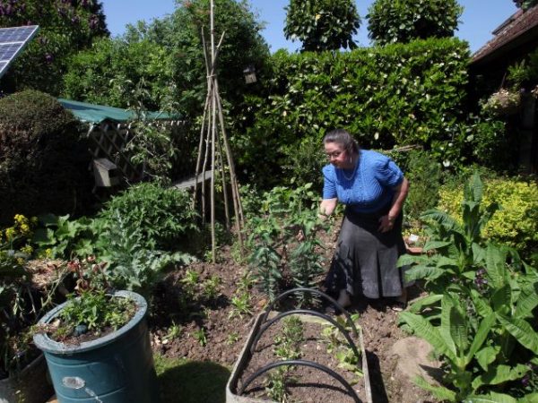 Casal gasta menos de R$200 por ano em despesas da casa