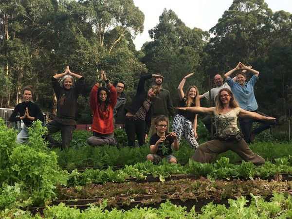 Conheça o WWOOF – viagem, aprendizado e alimentação saudável