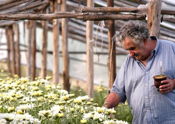 Uruguai, país exemplo de simplicidade e vanguarda sustentável