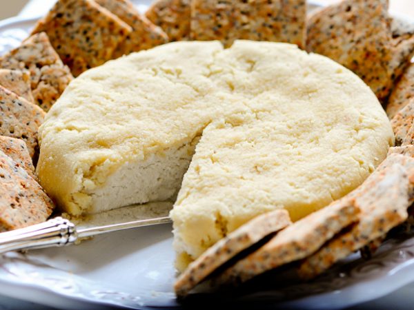 Aprenda a fazer queijo e leite de frutos secos