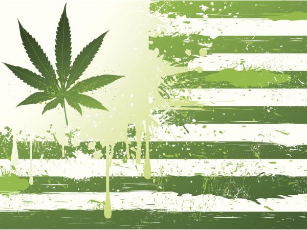 Um papo e mais 5 documentários para desestigmatizar a cannabis