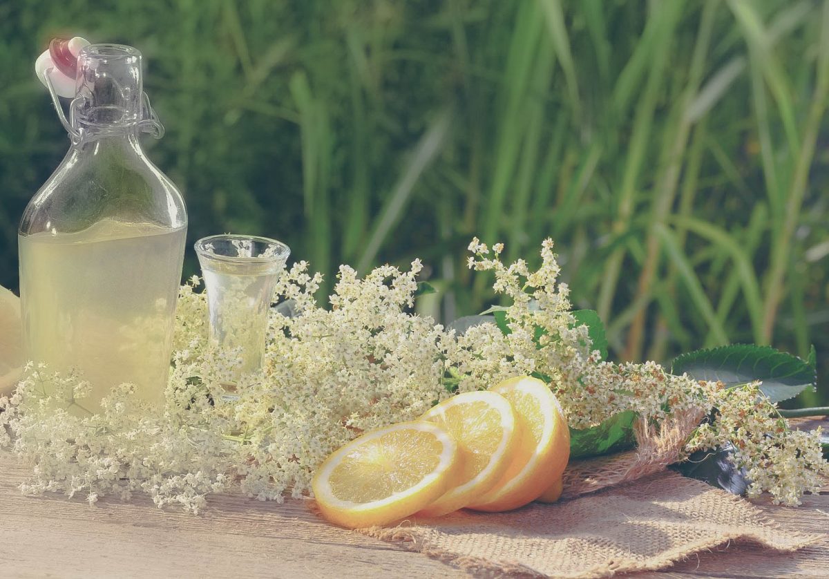 espumante de flores de sabugueiro