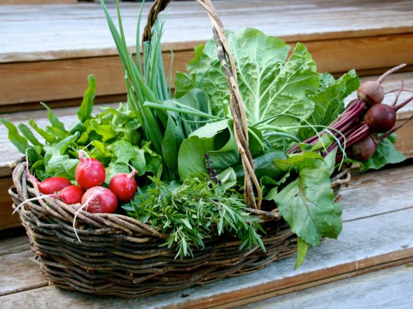 8 alimentos para melhorar o seu humor