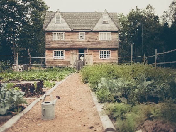 É possível viver fora da rede?