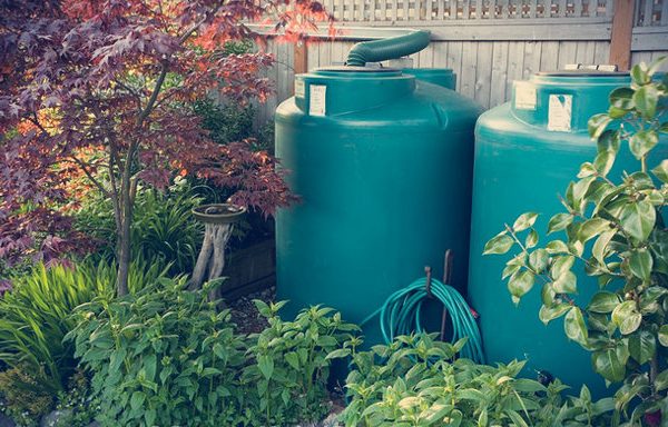 Projeto de cisterna para coletar água da chuva