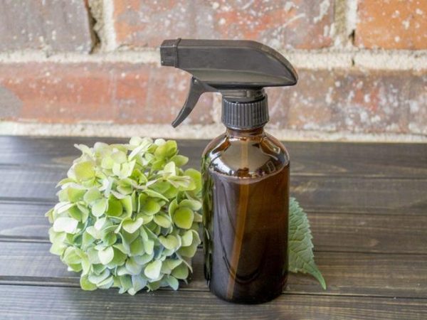 Aprenda a fazer inseticida natural