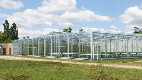 Fazenda urbana em Berlim produz verduras orgânicas em larga escala