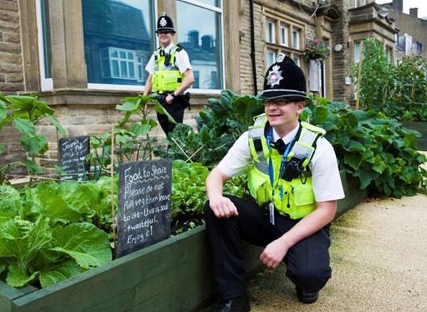 Pequena cidade na Inglaterra é modelo de autossuficiência alimentar