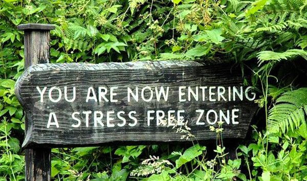 O segredo da longevidade na dieta das zonas azuis