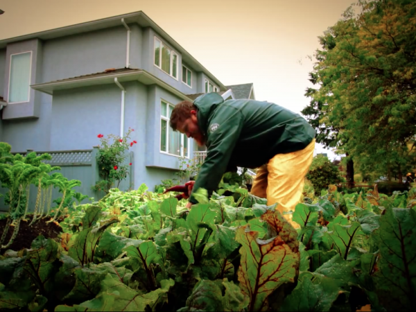 Hortas urbanas e a transformação de Vancouver em uma cidade mais verde