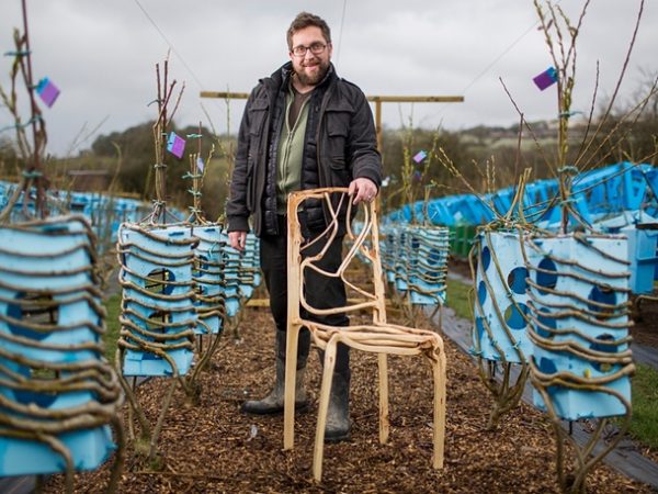 Já pensou em plantar sua própria mobília?