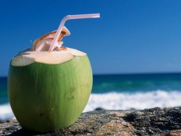 Você sabe o que acontece com seu corpo ao beber água de coco?