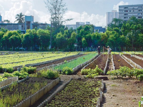 O Poder da Comunidade (documentário)