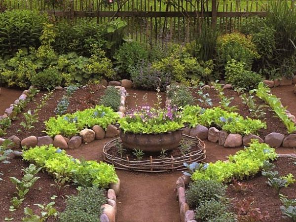 Harmonize seu jardim com uma Espiral de Ervas