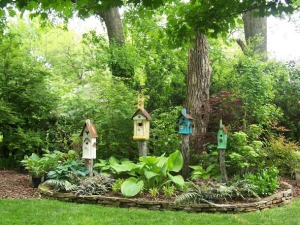Aprenda a usar a natureza como aliada para diminuir a carga de trabalho na horta