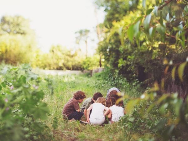 O verão permacultural das crianças: quatro maneiras de viver a estação