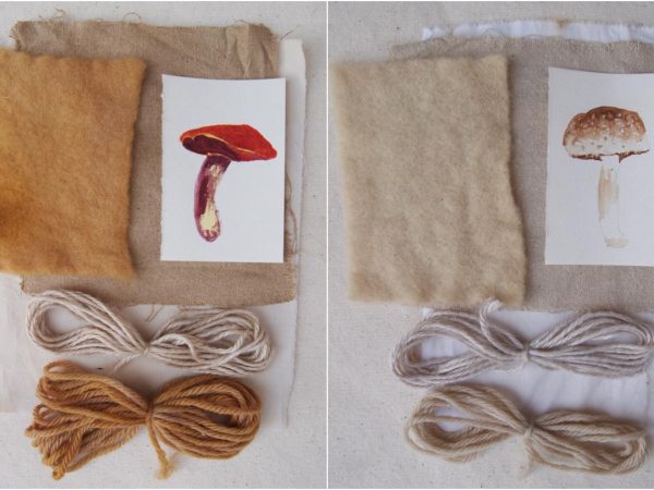 Micopigmentação – extraindo pigmentos de fungos