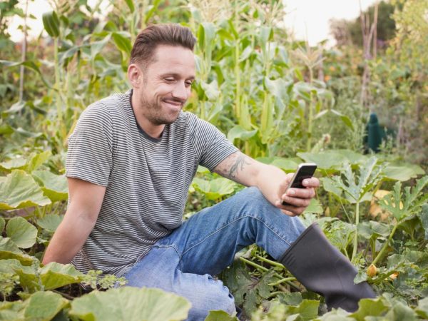 Plantit! Um aplicativo que ajuda a plantar orgânicos em casa
