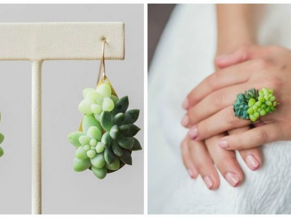Jóias de suculenta que crescem enquanto você as usa