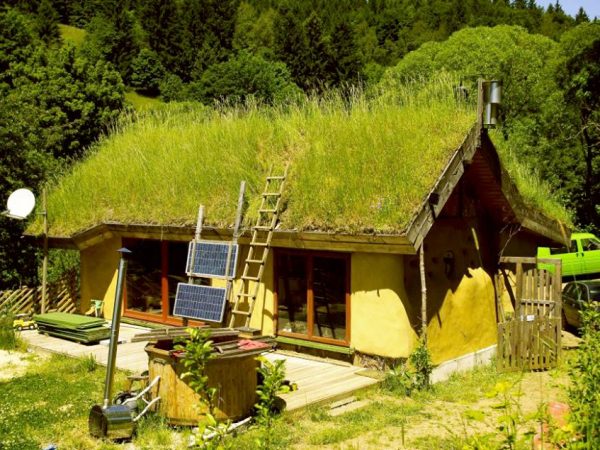 Veja como construir um Telhado Verde