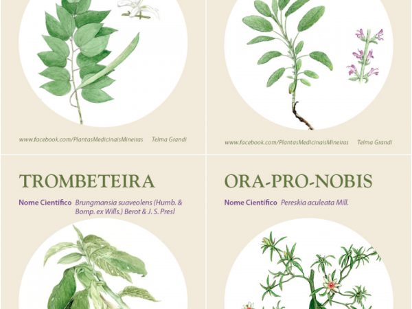 Livro de plantas medicinais para download gratuito