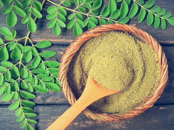 Conheça a Árvore da Vida