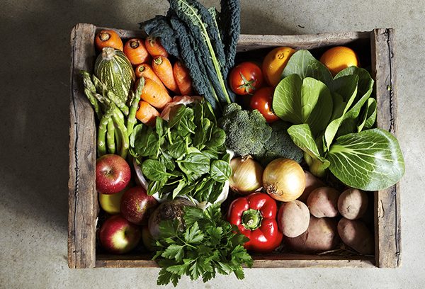 3 cartilhas sobre agricultura orgânica que você precisa ter