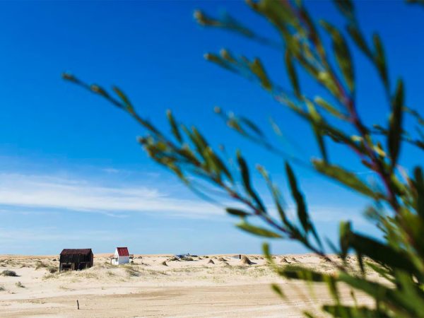 Cabo Polônio, um paraíso perdido