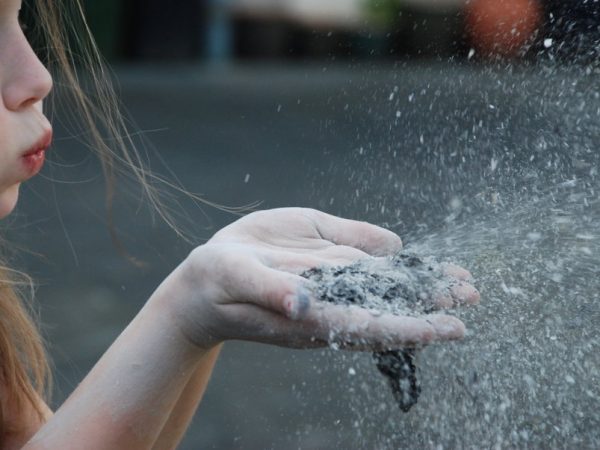 10 maneiras de utilizar cinzas na casa e no Jardim