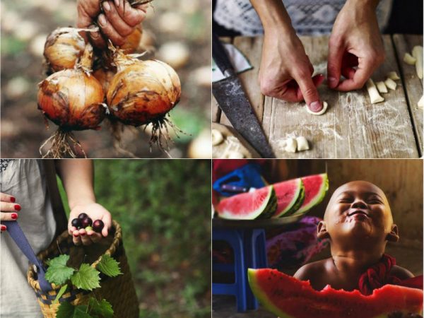 Alimentação consciente, um estilo de vida