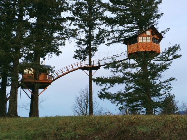 Como é construir e viver em uma casa na árvore