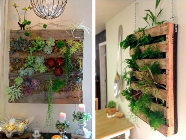 5 ideias simples para levar vida a casas e apartamentos sem jardim