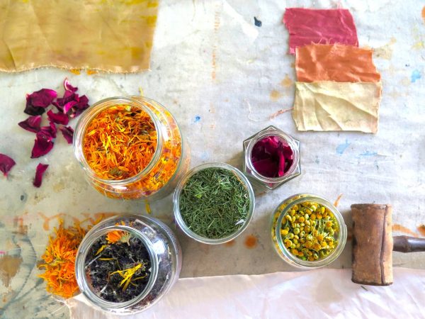 Aprenda como tingir tecidos utilizando plantas