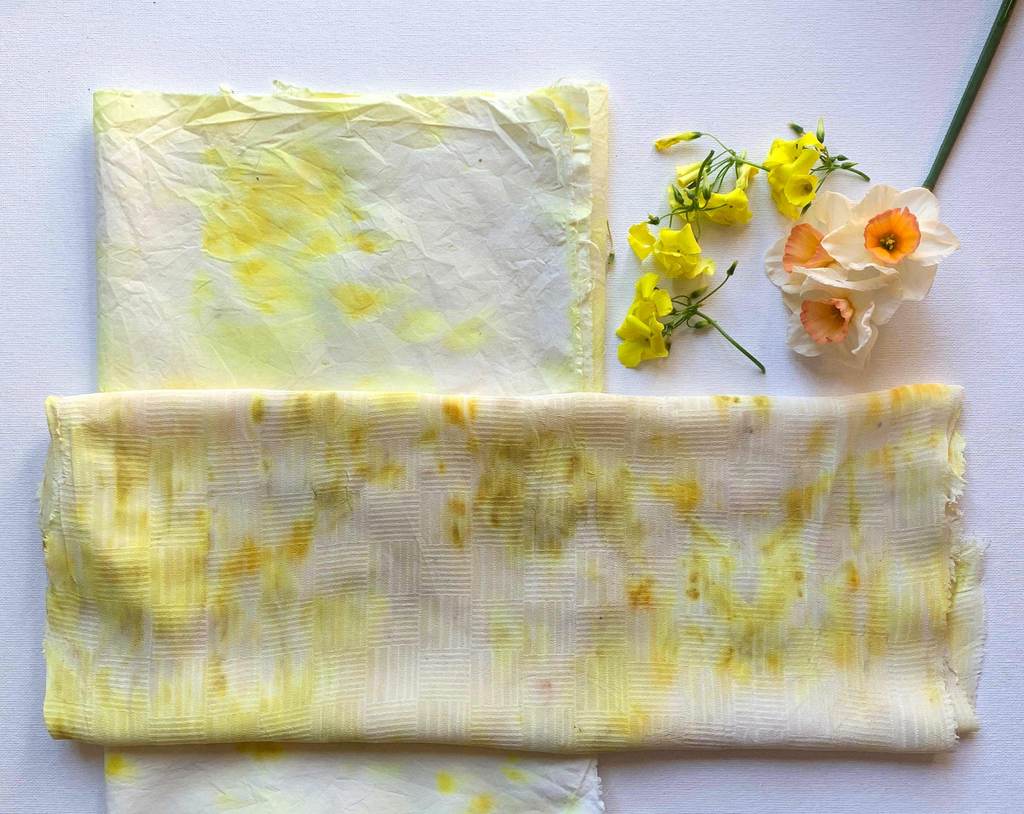 Aprenda como tingir tecidos e fibras naturais utilizando plantas