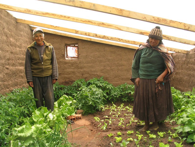 Produzindo comida “debaixo da terra”