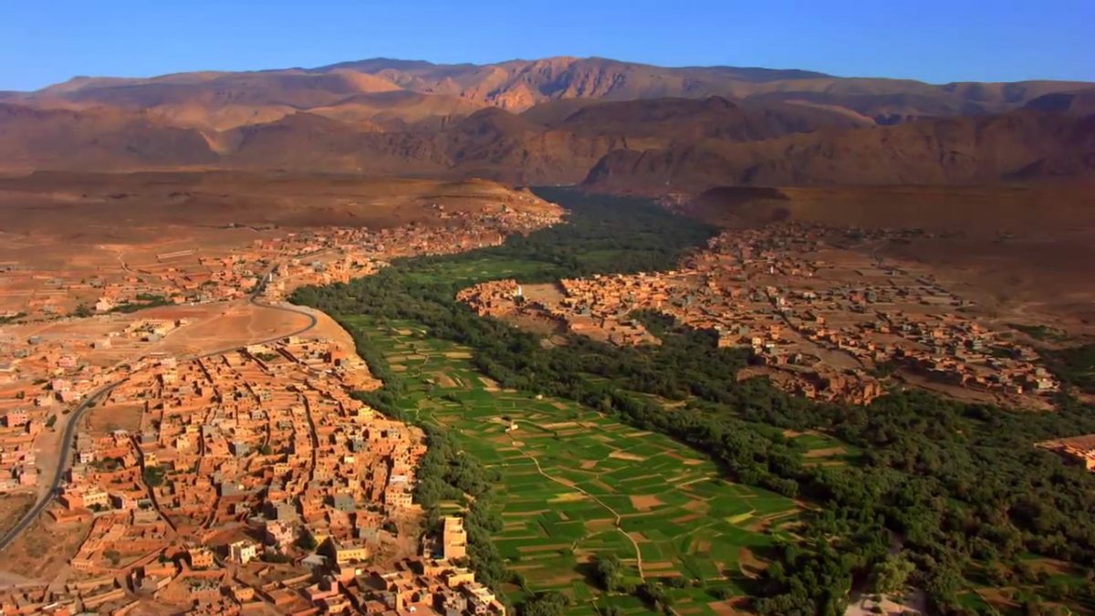 3 filmes para (re)pensar nossa ecologia