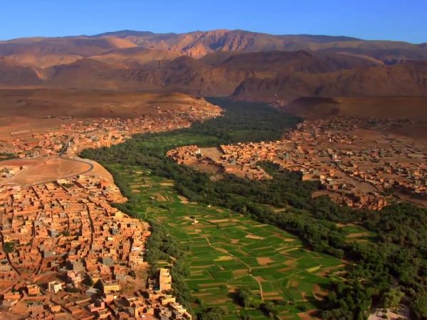 3 filmes para (re)pensar nossa ecologia