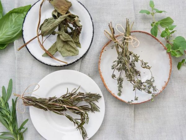 Ervas medicinais: colheita e secagem