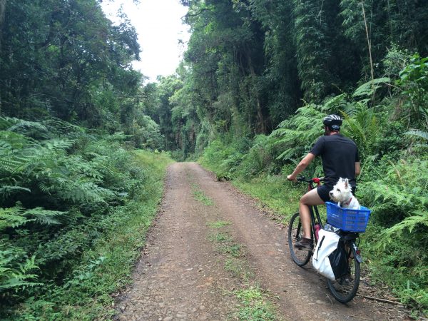 Viaje conosco: 7 dias de bike pelo Circuito do Vale Europeu
