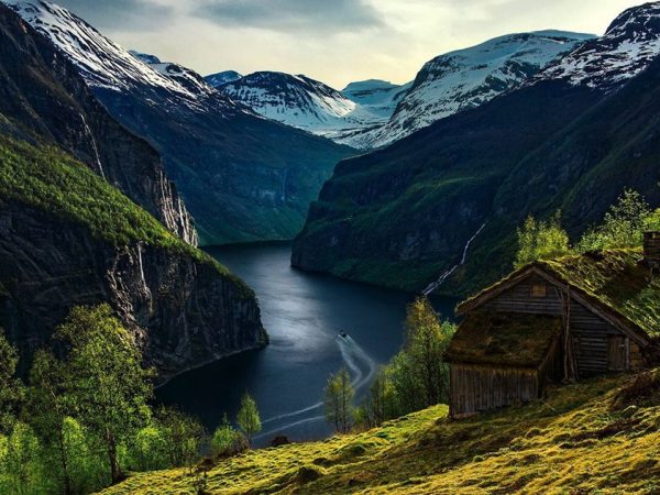 20 Frases que Declaram o Amor pela Natureza