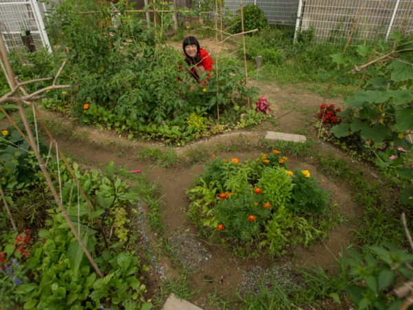 O método de agricultura natural de Fukuoka