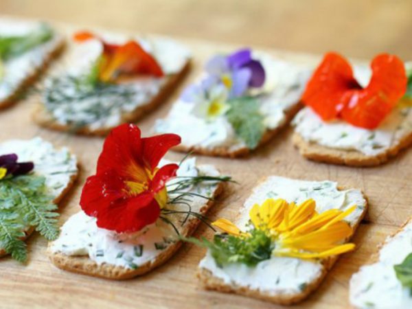 Aprenda a identificar 10 flores comestíveis