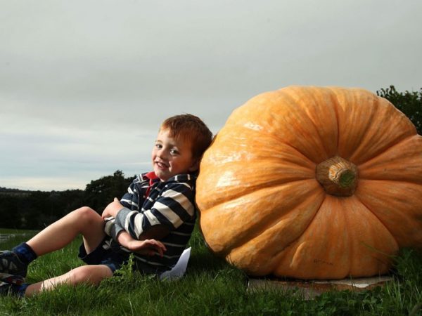 Vegetais que cresceram mais que o esperado. Incrível!