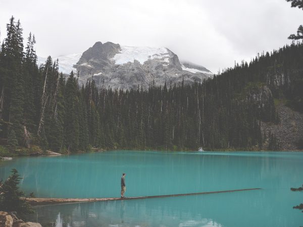 Literatura Ambiental: Thoreau e a vida nos bosques