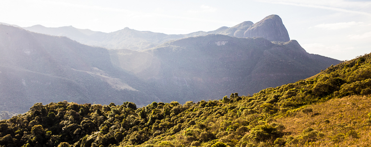 Parque Estadual da Serra do Papagaio (MG). Foto: Wikipedia