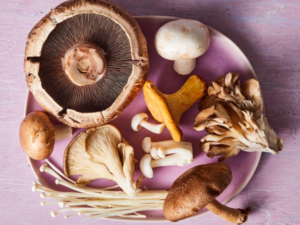 5 motivos para incluir os cogumelos no seu cardápio