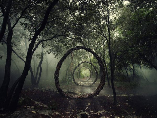 Uma galeria de arte em meio à floresta